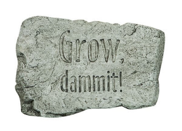 Grow Dammit Stepping Stone